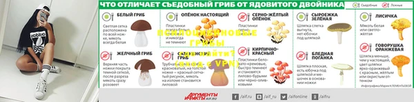 стаф Магадан