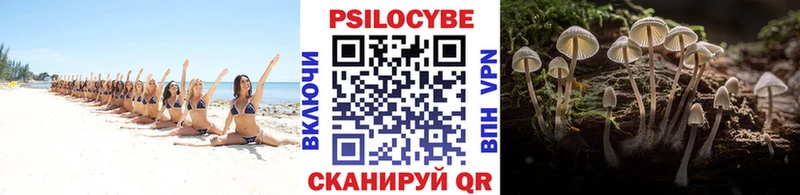 Псилоцибиновые грибы Magic Shrooms Малгобек