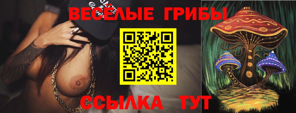 Галлюциногенные грибы Cubensis Малгобек